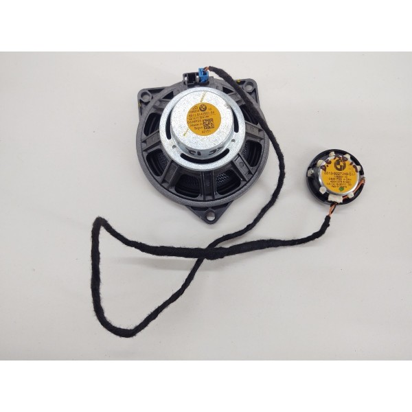 Auto Falante Porta Dianteiro Esquerdo Bmw X6 2012 Preto