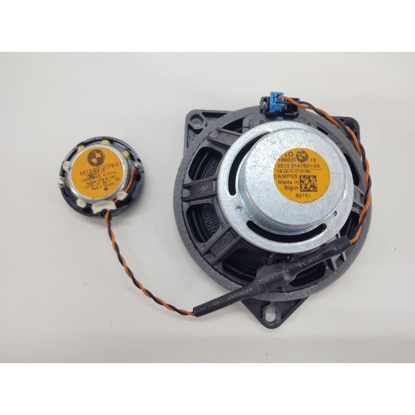 Auto Falante Porta Traseiro Direito Bmw X6 2012 Preto