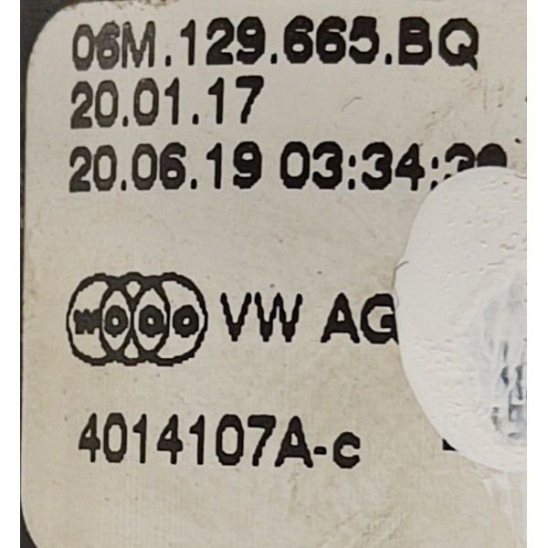 Cano Flange Motor Audi Q8 2019 06m129665