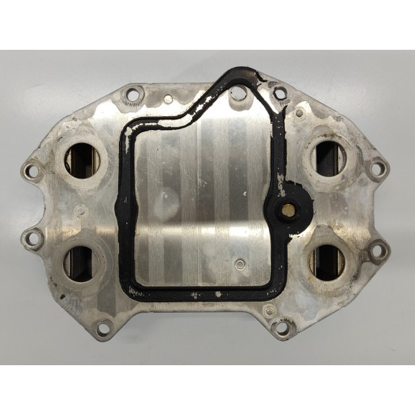 Radiador Trocador Calor Óleo Audi Q8 2019 06m117015