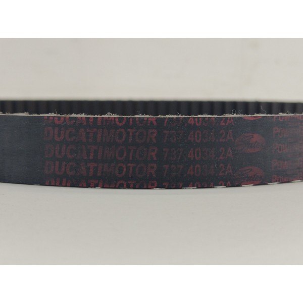 Correia Dentada Motor Ducati Multistrada 1260s 2022