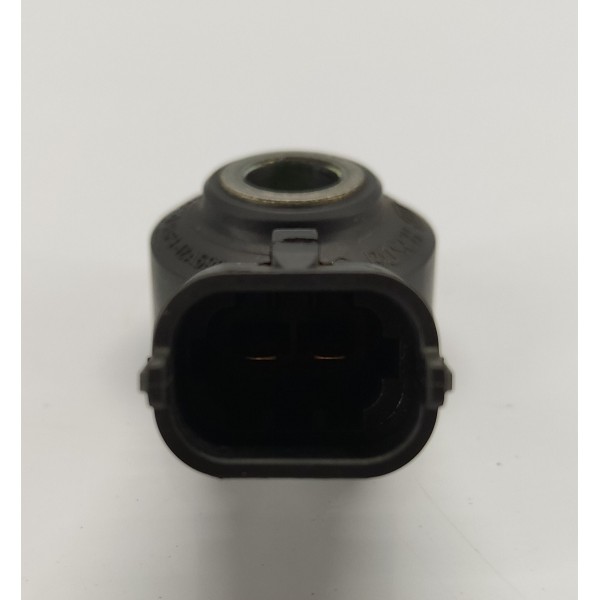 Sensor Detonação Velar 2.0 P300 2020