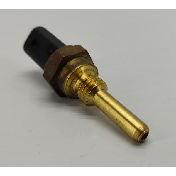 Sensor Temperatura Velar 2.0 P300 2020 G4d312c538aa