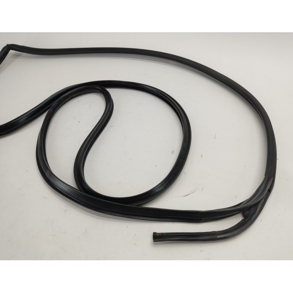 Borracha Fixa Porta D.d Nissan Sentra 2.0 2011 C/detalhe