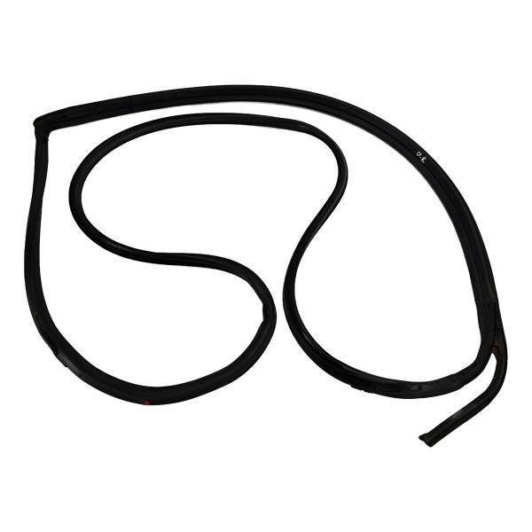 Borracha Fixa Porta D.e Nissan Sentra 2.0 2011