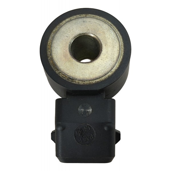 Sensor Detonação Nissan Sentra 2.0 2011