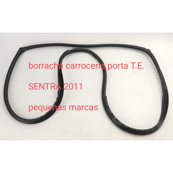 Borracha Carroceria Porta T.e Nissan Sentra 2.0 2011
