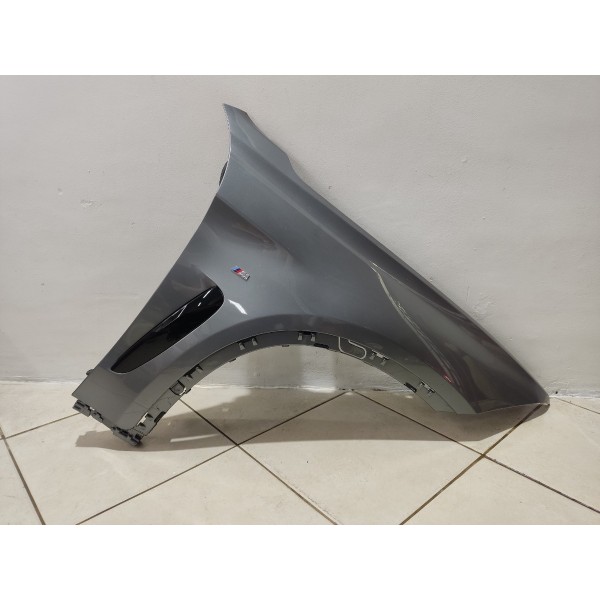 Para Lama Direito Bmw X6m V8 2015