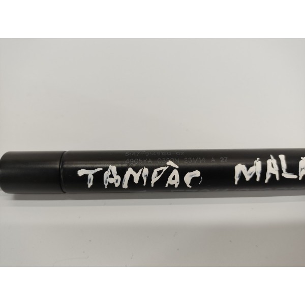 Amortecedor Porta Mala Tampa Assoalho Traseira Bmw X6 2015